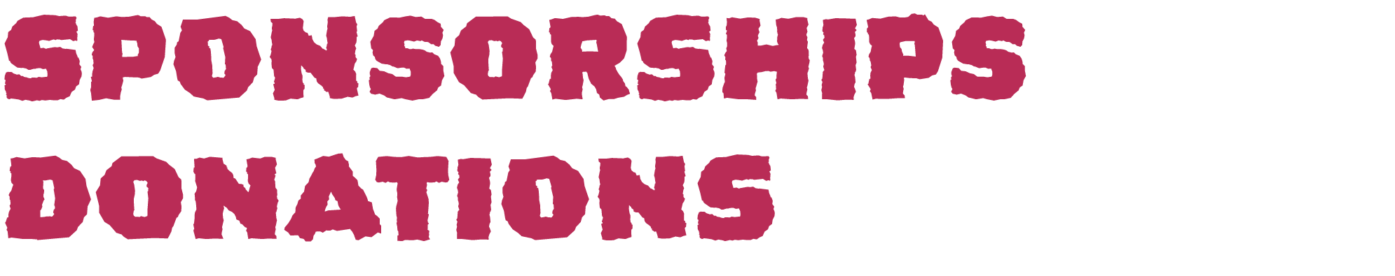 Turkey Plunge 2026 Sponsorships and donations