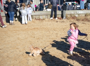 Turkey Plunge Nantucket Atheneum Weezie Library for Children