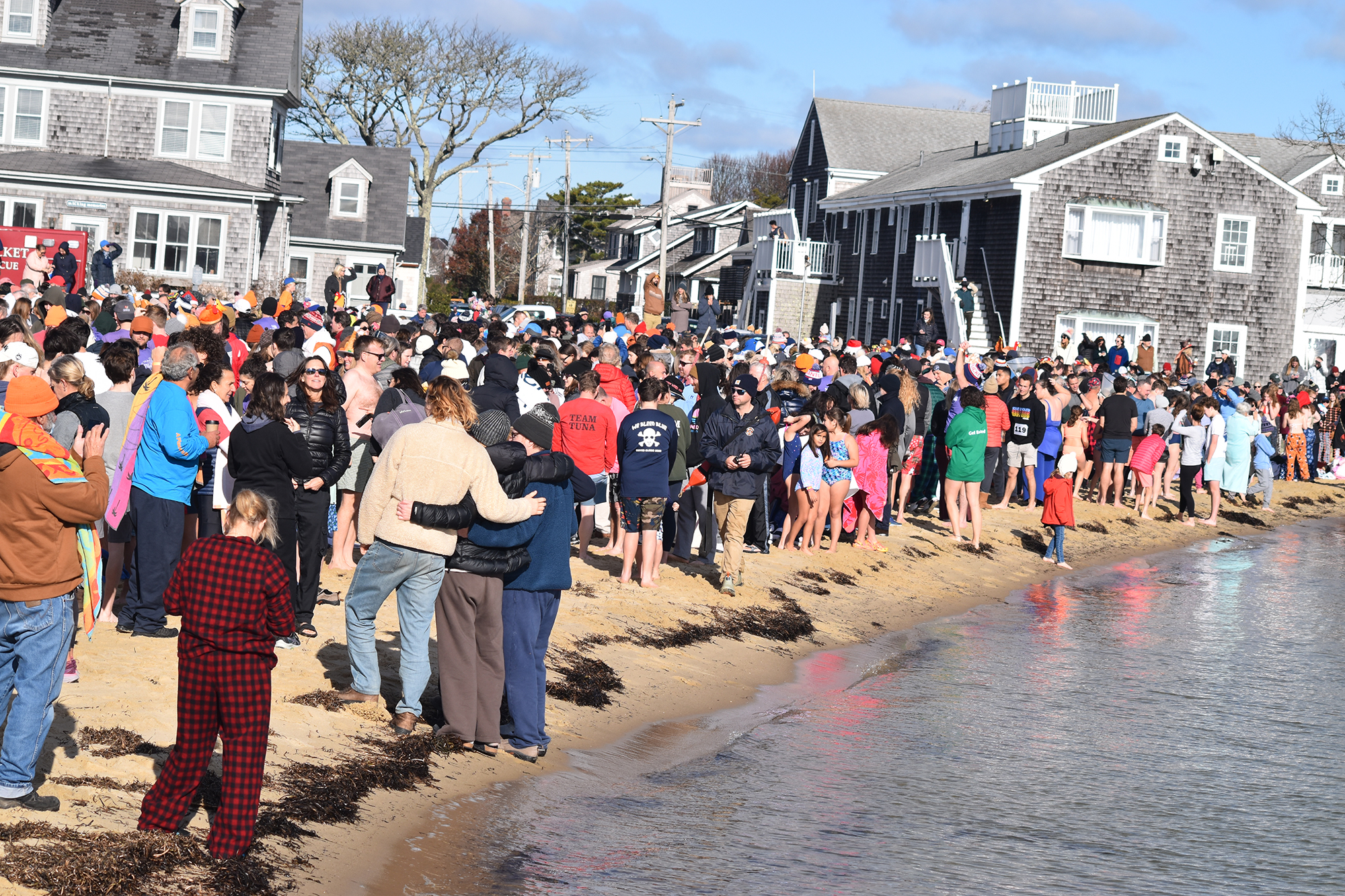 Turkey Plunge Nantucket Atheneum Turkey Plunge Nantucket Atheneum Weezie Library for Children