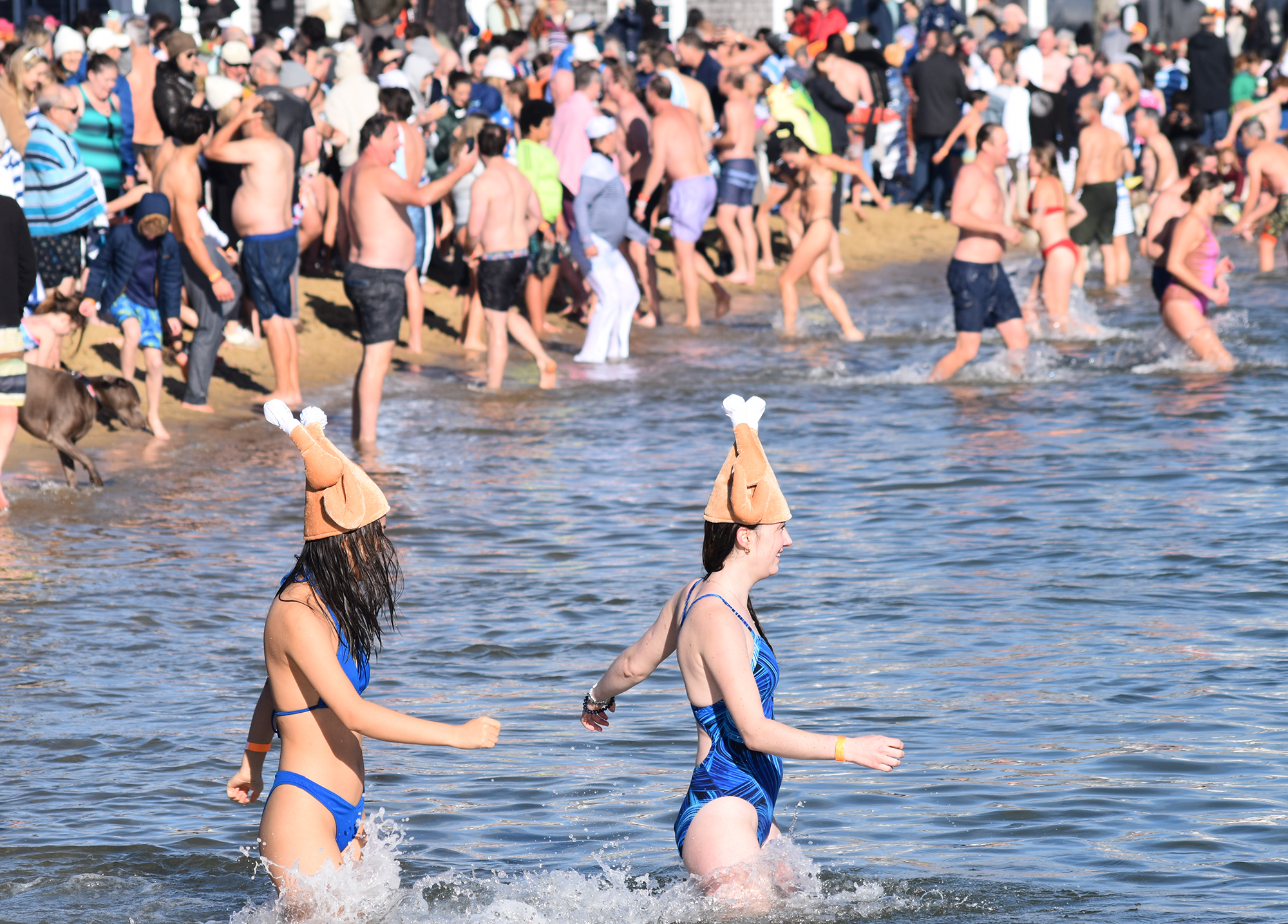 Turkey Plunge Nantucket Atheneum Turkey Plunge Nantucket Atheneum Weezie Library for Children