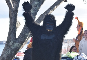 Turkey Plunge Nantucket Atheneum Weezie Library for Children