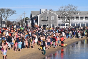 Turkey Plunge Nantucket Atheneum Weezie Library for Children