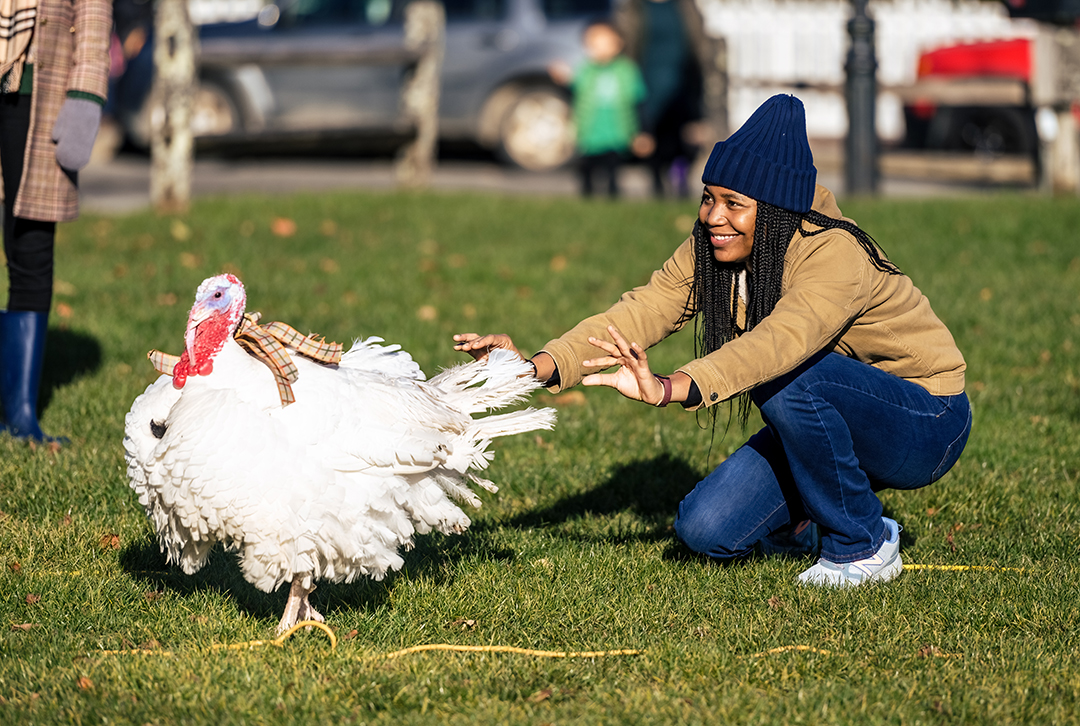 Turkey Plunge Nantucket Atheneum Turkey Plunge Nantucket Atheneum Weezie Library for Children