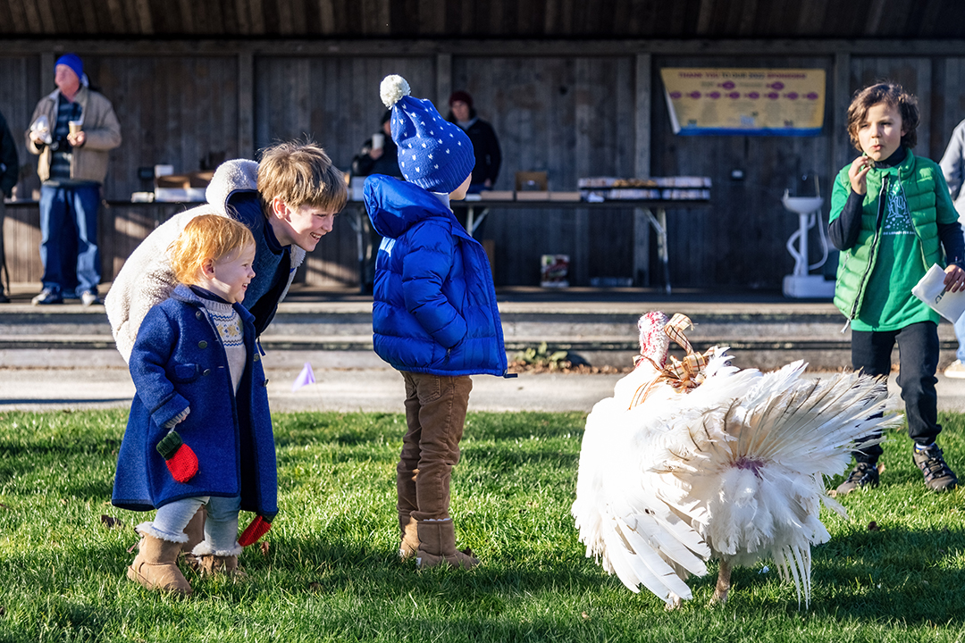 Turkey Plunge Nantucket Atheneum Turkey Plunge Nantucket Atheneum Weezie Library for Children